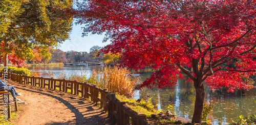 吉祥寺・井の頭公園の池畔に広がる紅葉風景