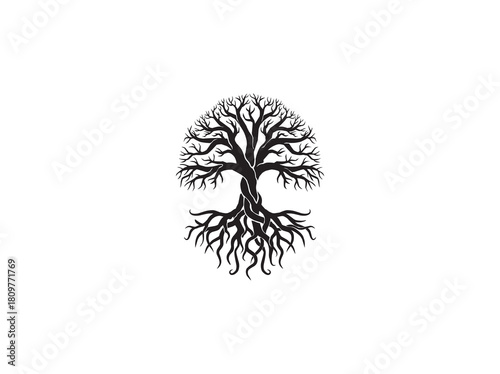 dry giant tree vector illustration isolated