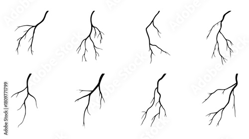 Collection of Black and White Tree Branch Silhouettes