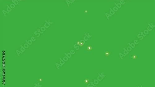 Animated video fireflies moving on green background