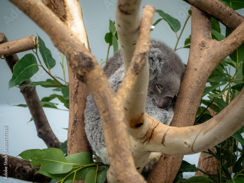 台北市立動物園