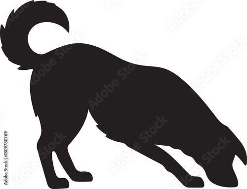 A silhouetted canine in a playful downward facing sniffing pose