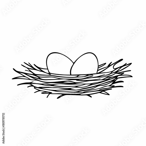 Illustration of a birds nest with eggs isolated on