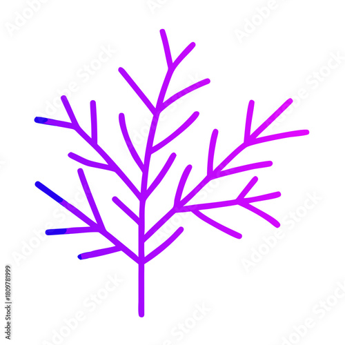 Purple dill branch isolated on, a fresh herb for cooking