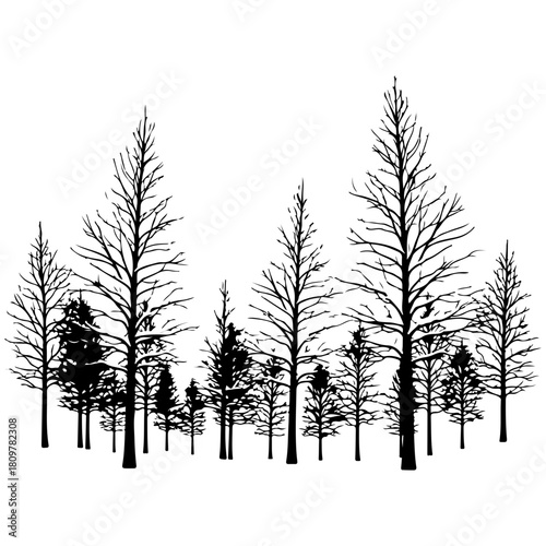 Black silhouette of climbing gear including rope, carabiner, knife, and glove