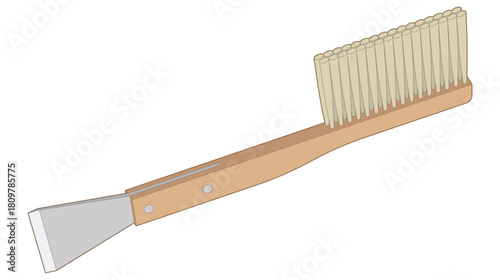 Isolated vector illustration of an apiarist tool: a bee brush with a scraper. Ideal for beekeeping and gardening themes.
