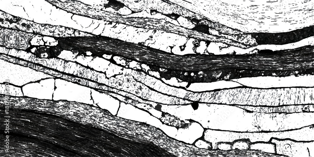 Obraz premium Abstract natural rock formation backdrop with stratified stone .surface grungy black rugged geological structure background design .
