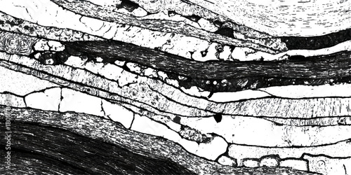 Abstract natural rock formation backdrop with stratified stone .surface grungy black rugged geological structure background design .