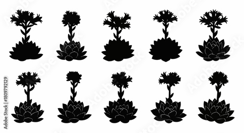 Set of ten black silhouettes of flowering sempervivum succulents.