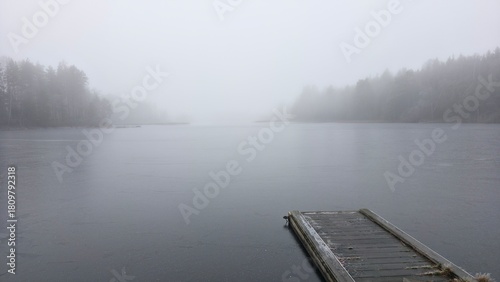 Pirs end fog on the river in the forest 