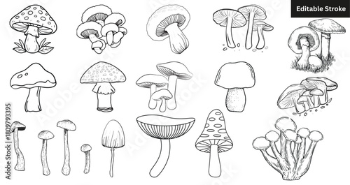 "Mushroom Line Art Clipart Set – Botanical Fungi & Toadstool Editable Stroke Collection"