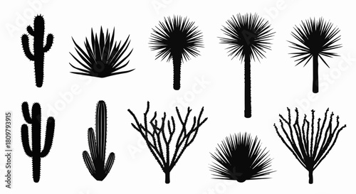 Silhouettes of various desert plants and cacti in black and white.