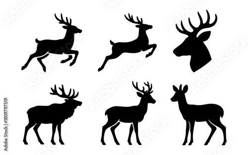 Elegant deer silhouettes: six majestic poses and profiles