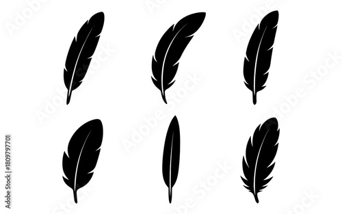 Set of six feather silhouettes in black on white background