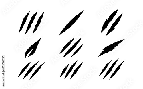 Set of animal claw scratch silhouettes for tattoo and design projects