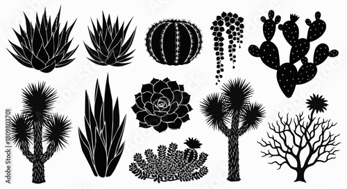 Collection of various black silhouette cactus plants and succulents.