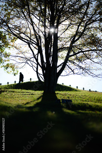 人は歩いていく