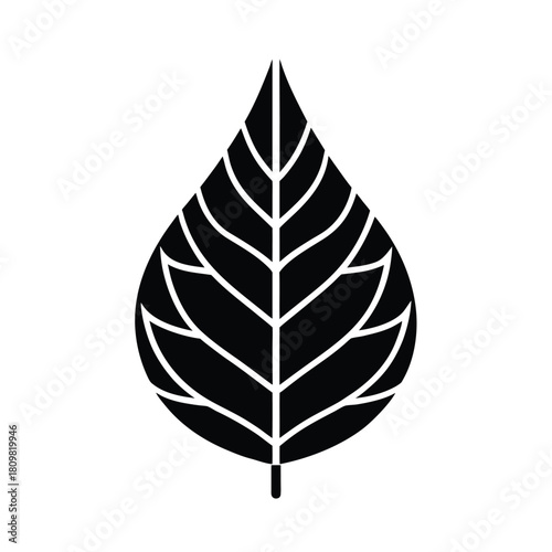 Leaf Skeleton Icon Vector Illustration