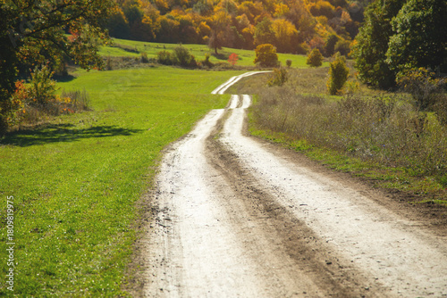 Fototapeta Naklejka Na Ścianę i Meble -  Beautiful view. The road in the autumn forest