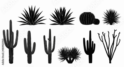 Silhouetted Desert Flora - Cacti and Succulents Collection.