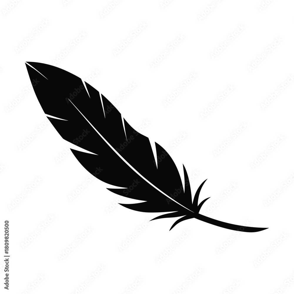 Fototapeta premium Raven Feather Fallen Icon Vector Illustration