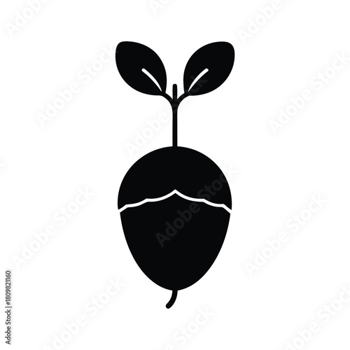 Sprouting Acorn Icon Vector Illustration