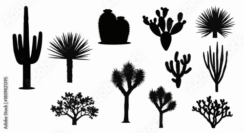 Diverse Collection of Desert Cactus and Succulent Silhouettes.