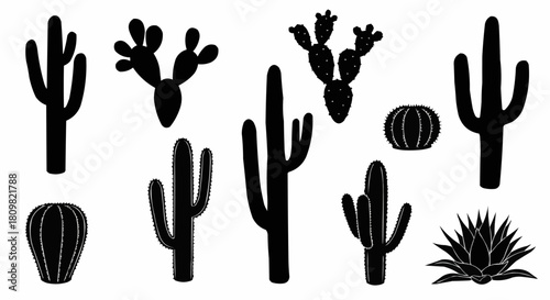 Silhouette Collection of Various Cactus Plants in Desert Landscape.