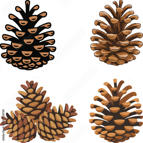 vector art of pine cones on isolated white background