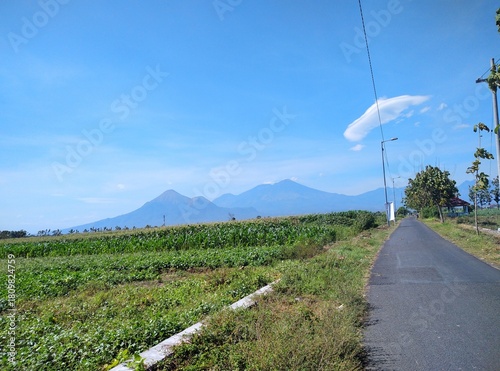 a work of art that can only be enjoyed by ourselves and makes us happy when we look at it