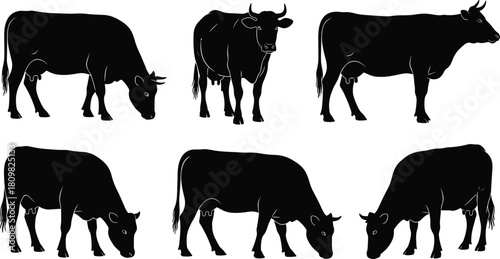 Cow silhouette collection featuring standing and grazing cattle in various poses, detailed farm animal vector artwork ideal for agriculture, livestock and dairy design themes