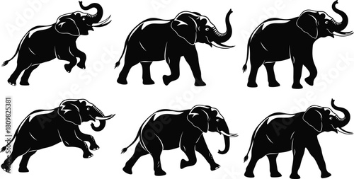 Elegant black elephant silhouette collection, walking and standing poses, wildlife vector illustration design for branding, decoration, digital projects