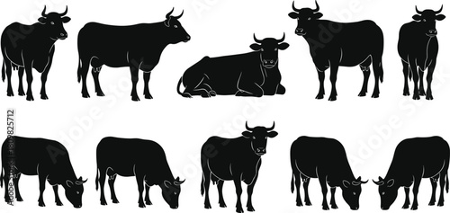 Farm cow silhouette collection showing standing, grazing, and resting poses, livestock illustration, agriculture animal artwork for farming, dairy, rural design projects