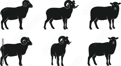 Ram and sheep animal silhouettes standing in various poses, farm livestock illustration, wool sheep graphic, horned ram vector design