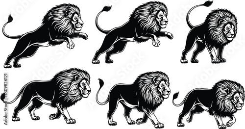 Powerful lion silhouette illustration collection, roaring, walking, running, detailed wild animal artwork for logo design, tattoo style, wildlife decoration