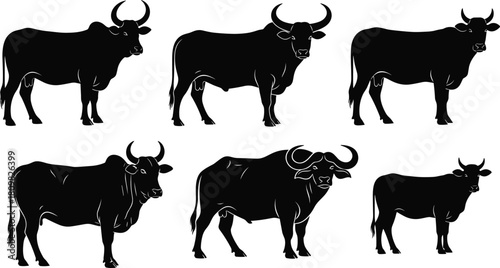 Silhouette collection of cows and bulls, farm animal illustrations, livestock shapes, cattle outline graphics, agriculture design elements for rural artwork