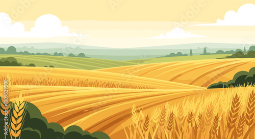 Golden wheat fields shine under warm summer light. Soft hills create calm peaceful scenery. Gentle tones form bright natural atmosphere
