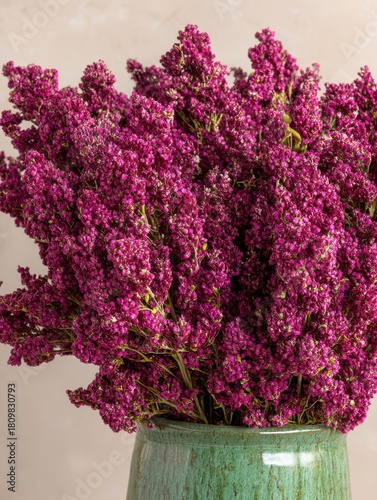 Decorative purple quinoa plant in green vase, studio shot, close-up, floral arrangement, interior decor, still life, vibrant color