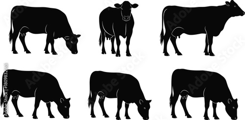 Black cow silhouette collection featuring multiple standing and grazing cattle shapes, isolated farm animal vector design ideal for agriculture and livestock illustrations