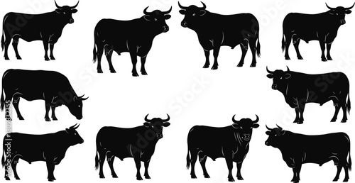 Bull silhouette collection featuring strong standing and grazing cattle poses, detailed farm animal vector artwork ideal for agriculture, livestock, ranch and rural design themes