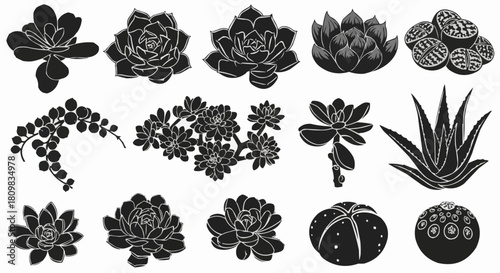 Set of various succulent and cactus plant silhouettes.