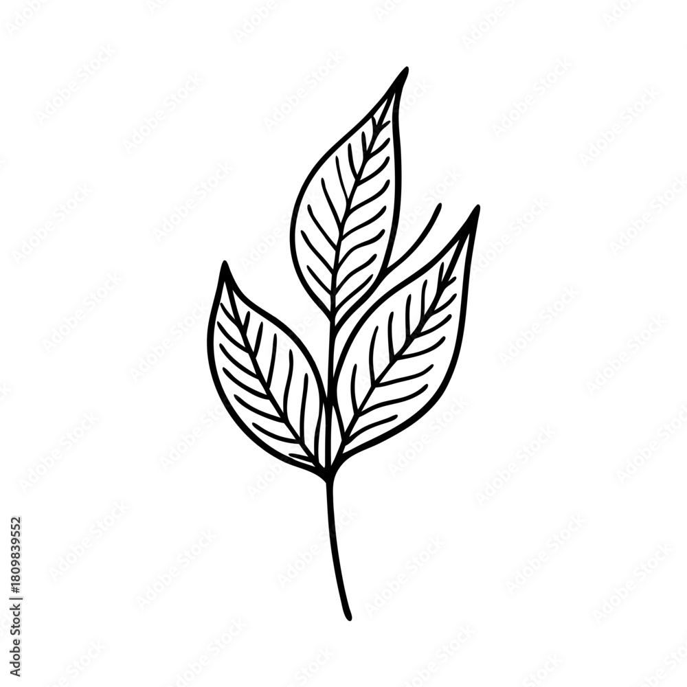 Naklejka premium Flower Icon Sheet