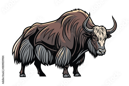 Illustration of a large shaggy yak with long horns standing