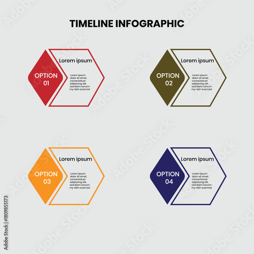 Timeline Infographic with Four/Five Hexagonal Options and Central Information Hub for Business Process, Strategy, and Planning

