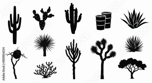 Diverse collection of desert plants and cacti silhouettes.