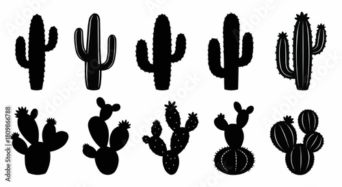Silhouette Collection of Various Cactus Plants in Desert Landscape.