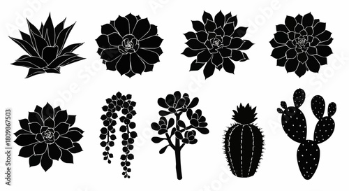 Silhouette Collection of Succulent Plants and Cacti in Black and White.
