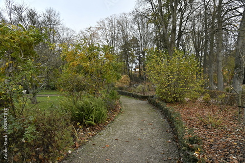 Chemin au parc de la Dodaine en automne à Nivelles (Brabant Wallon)