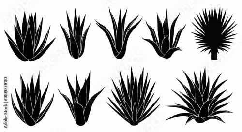 Collection of black silhouette agave and yucca plant icons.