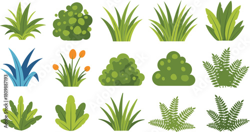Collection of diverse green plants and foliage illustrations